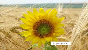 Горещо време и в неделя