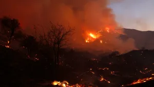 1600 пожарникари се борят с пожар край Лос Анджелис