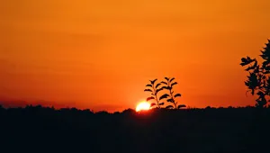 Предимно слънчево и горещо през уикенда