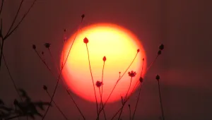 Слънчево и с температури до 36°