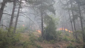 Пожарът в Ардинско е изцяло потушен