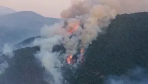 Голям горски пожар избухна край село Стара Кресна