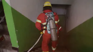 Доброволците у нас не достигат 