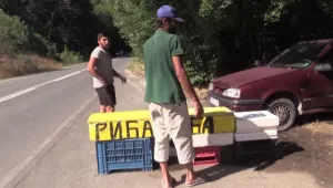 Нелегални търговци на риба заплашваха екип на bTV