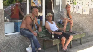 В село Кости още не могат да преживеят загубата на животните си