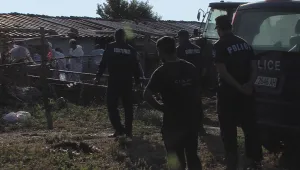 От утре избиването на животни в Странджа продължава