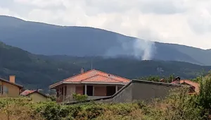 Горски пожар гори над Марково