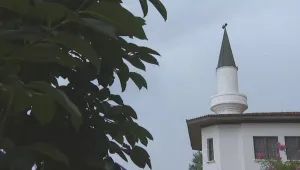 Директорът на „Двореца” в Балчик: Кралица Мария е била съвършена личност