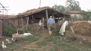 Взимат втора проба за чума в Болярово днес
