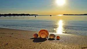 Слънчево време с температури между 30° и 35°