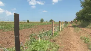 Заседание в Шабла за мерките срещу чумата по свинете