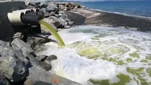 По зрителски сигнал: Зелени води се изливат в морето от тръба край Бургас (ВИДЕО)