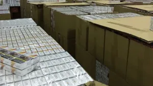 Задържаха близо 250 000 кутии контрабандни цигари в района на ГКПП 
