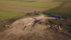 Започва проверка за замърсяване на площите, където са загробвани прасета