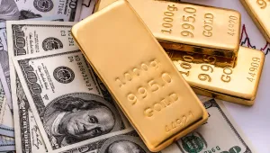 Митничари откриха 3709,30 г злато и 40 000 евро в хладилник на микробус (ВИДЕО)