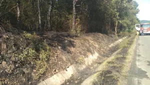 Пожар пламна в парк „Росенец“ край Бургас