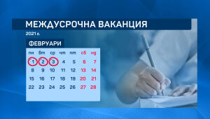 МОН публикува датите за ваканциите на учениците догодина