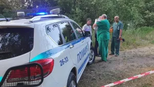 29 крави са умрели минути, след като са пили вода от канал на р. Марица до Димитровград