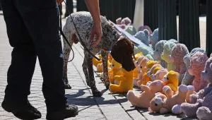 Протест с плюшени мечета се проведе пред Конгреса на САЩ заради детската порнография