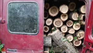 Задържаха три буса с незаконна дървесина във Врачанско