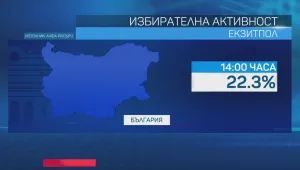 „Алфа рисърч“: 22,3% избирателна активност към 14 ч.