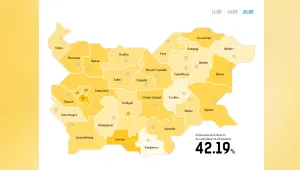Избирателната активност на вота на 11 юли е 42,19%