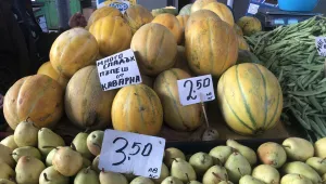 Агенцията по храните: В търговската мрежа няма пъпеши със салмонела 