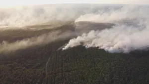 Локализираха пожара в Сакар планина 