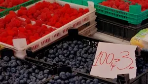 Необосновано високи цени на храните: Започват проверки в магазините и по пазарите
