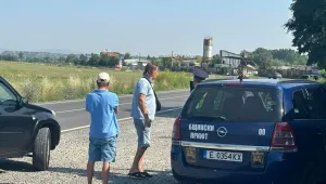 Проверяват общински служители в Благоевград за проявена жестокост към кучета