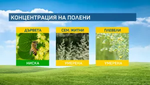 Алергичните към полени на сем. Житни да избягват планината