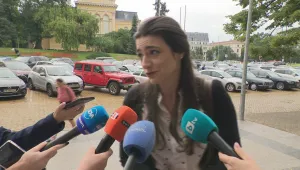 Лена Бориславова: Самият Бойко Борисов се надява този кабинет да не мине