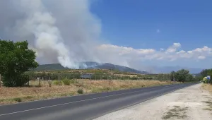 Пловдивски огнеборци гасят 4 пожара в Средна гора
