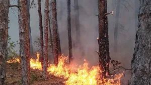 Спешно се търсят доброволци за гасенето на пожара край Хисаря