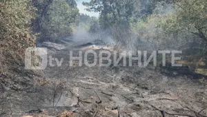 Пожар в парк 