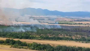 Потушен е пожарът край Мало Крушево и Драгомир