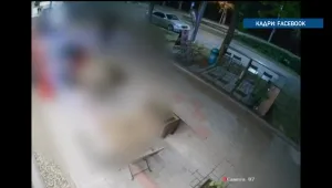 Жената, починала след побой пред кафене в Перник: Обвиняемият остава в ареста