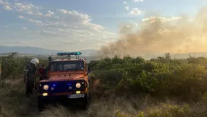 Пожарът на АМ „Тракия“ край Пазарджик е овладян