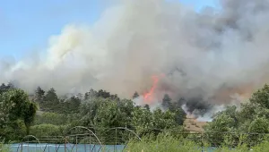 Пожарът в с. Опицвет е потушен
