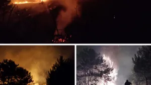 Пожар избухна над село Илинденци, търсят се доброволци (СНИМКИ)