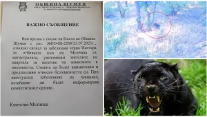 Леопардът се завърна, забелязан е край шуменски жилищен квартал