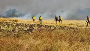Военнослужещи участват в гасенето на големите пожари в областите Благоевград, Хасково и Ямбол