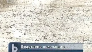 Нашествие на марокански скакалци в Кърджалийско