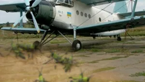 Пръскат срещу скакалци в Петричко 