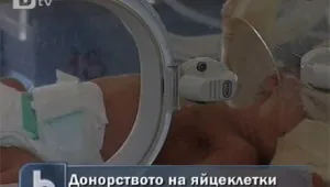 Искат донорството на яйцеклетки да стане платено