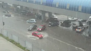 Паднали дървета и клони заради дъжда в столицата