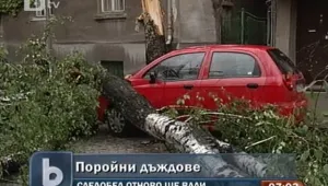 Наводнени приземни етажи и паднали дървета след бурята