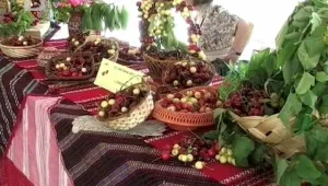В Кюстендил започна празникът на черешата
