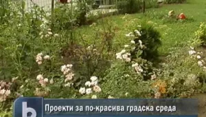 Как да направим градинките по-чисти и по-красиви?