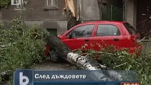 Множество сигнали в 